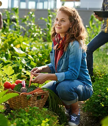 Les legumes a feuilles