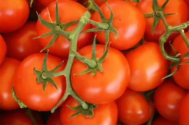 tomates